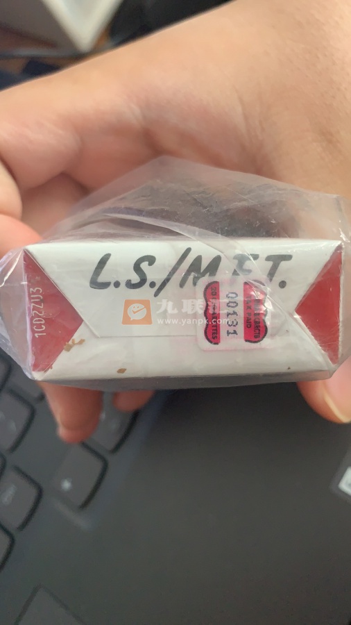 好彩(加州无嘴)相册 3000_11359