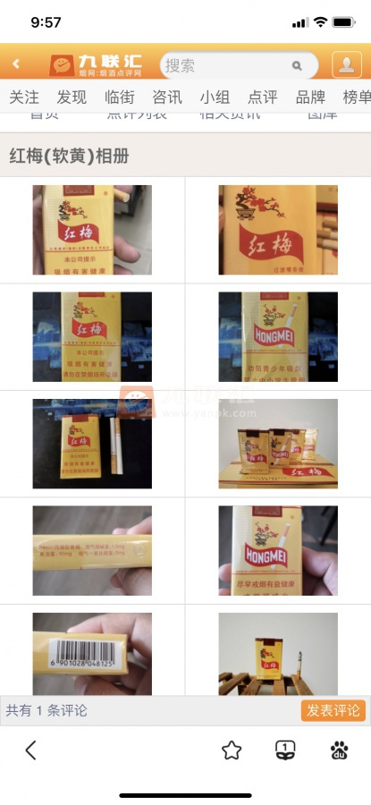 红梅(软黄)相册 333_71232