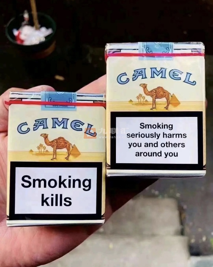 骆驼(无嘴中南半岛免税)相册 95817_45211