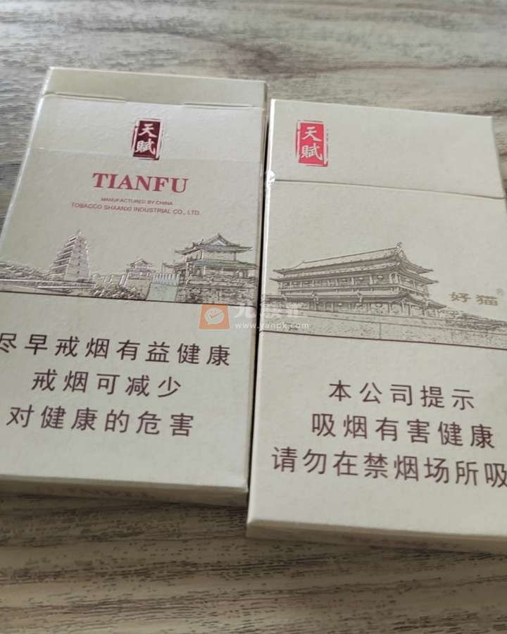 好猫细支天赋相册 92679_56664