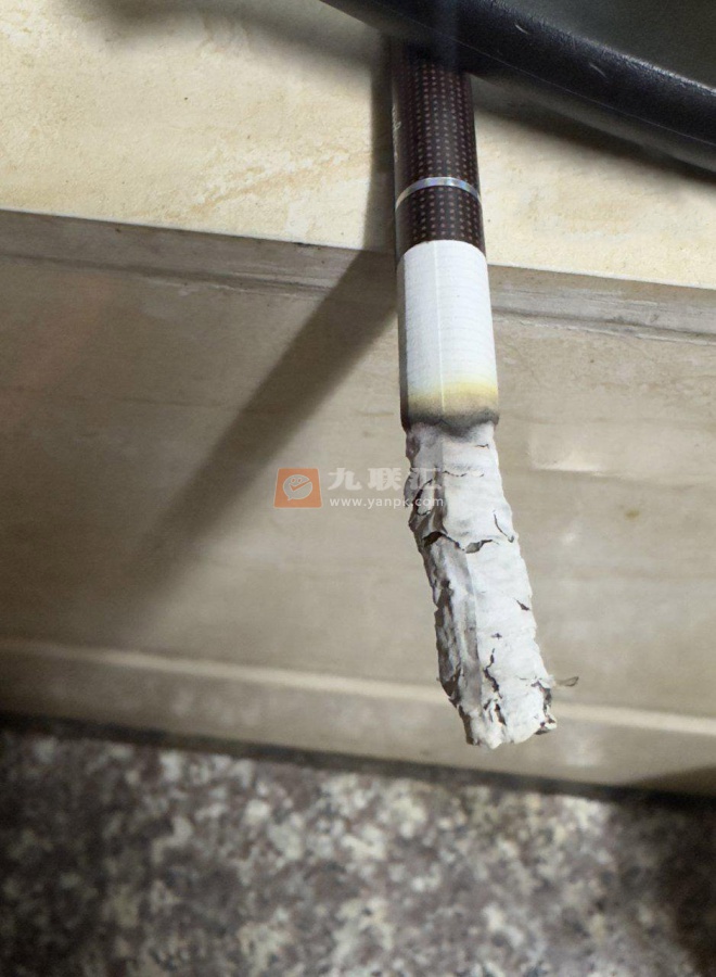 利群(硬阳光出口版)相册 93298_99741