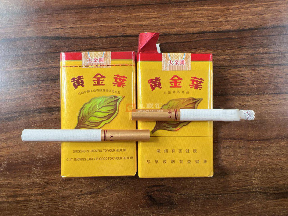 黄金叶(软大金圆)相册 291_65362