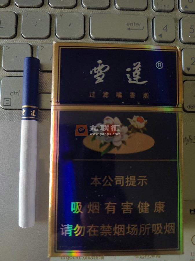 雪莲(蓝精品)相册 1229_79656