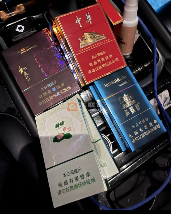 荷花绿水青山相册 93771_47976