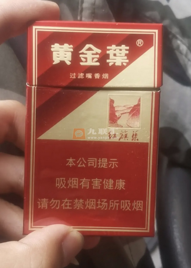 黄金叶(硬红旗渠)相册 299_34870