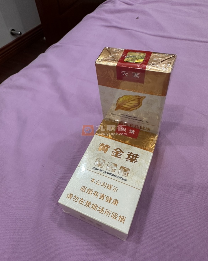 黄金叶(软天叶)相册 106395_15668