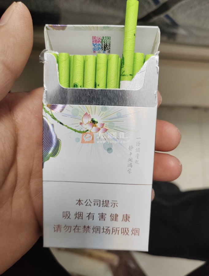 泰山(茉莉香韵)相册 93954_26572