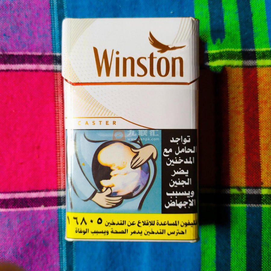 云斯顿(硬金埃及含税版)相册 112356_45417