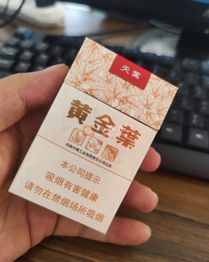 黄金叶(天叶)相册 290_59177