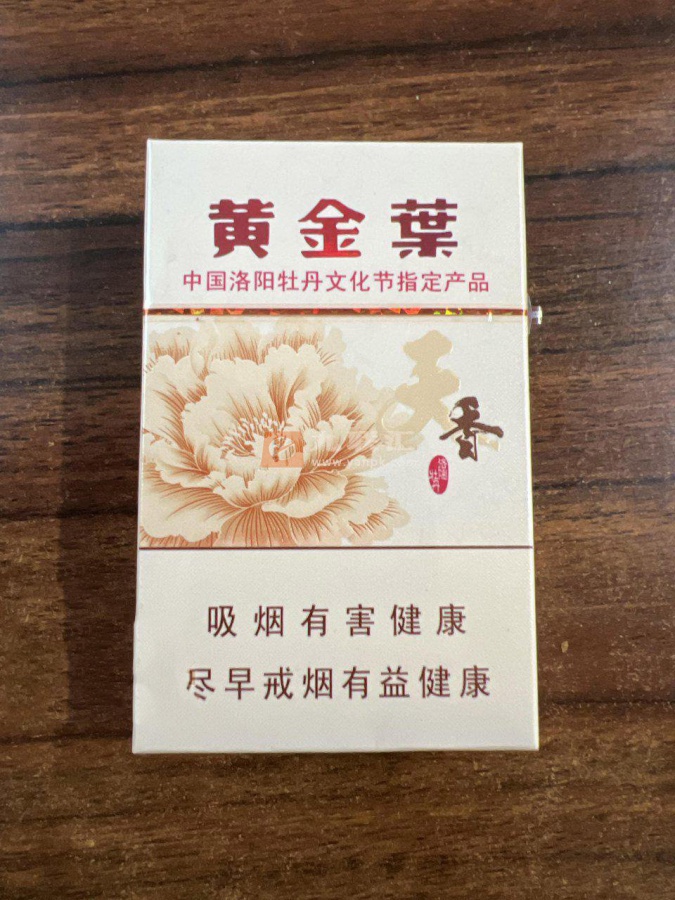 黄金叶(天香.洛阳牡丹文化节)相册 306_21164