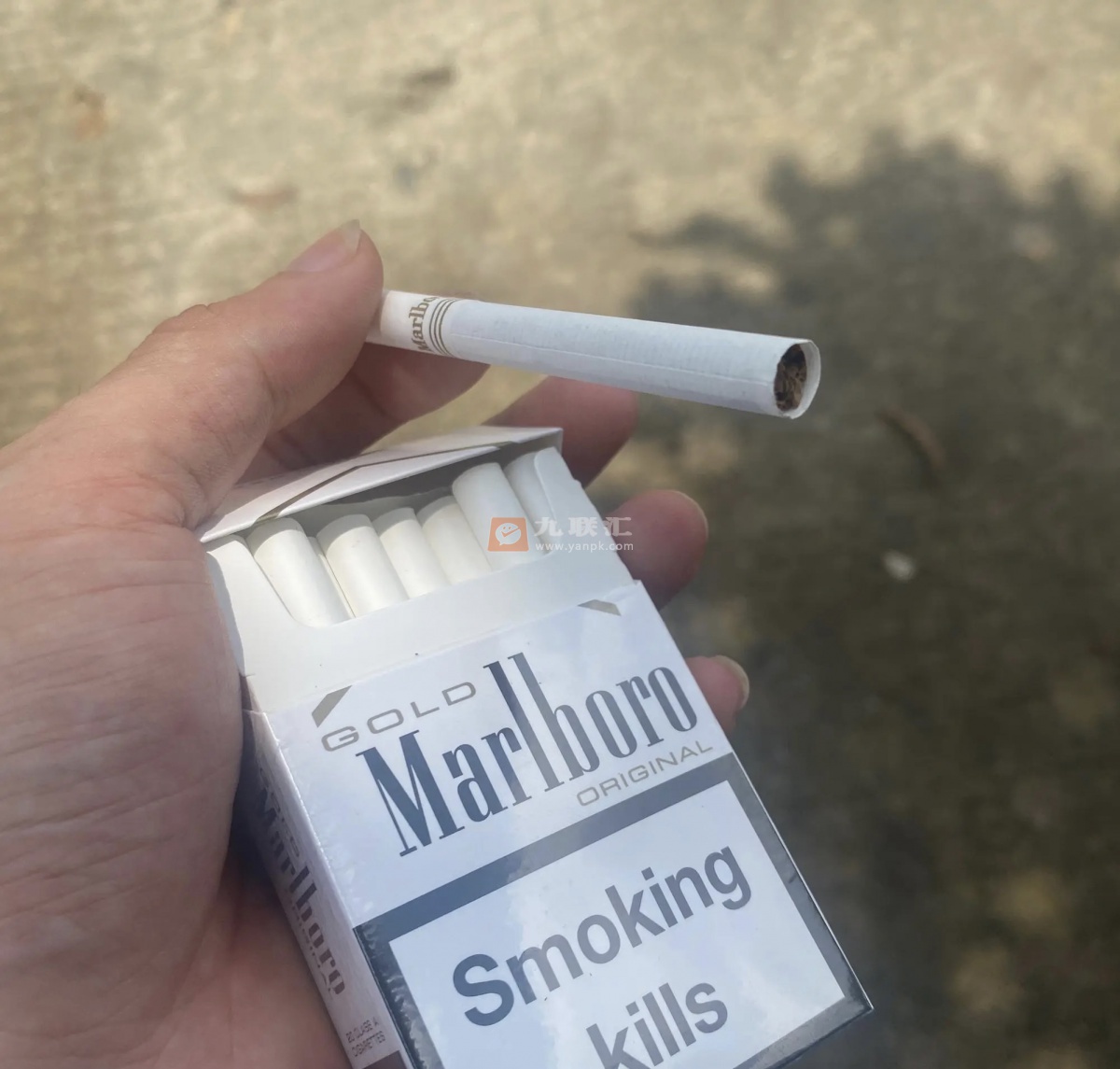 万宝路(白金欧盟版)相册 95305_28624