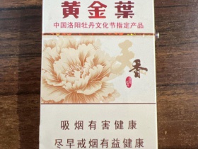 黄金叶(天香.洛阳牡丹文化节)相册 