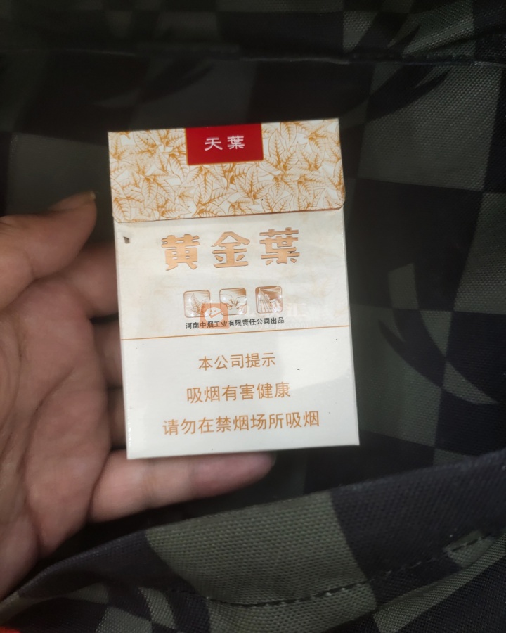 黄金叶(天叶中支)相册 95666_41497