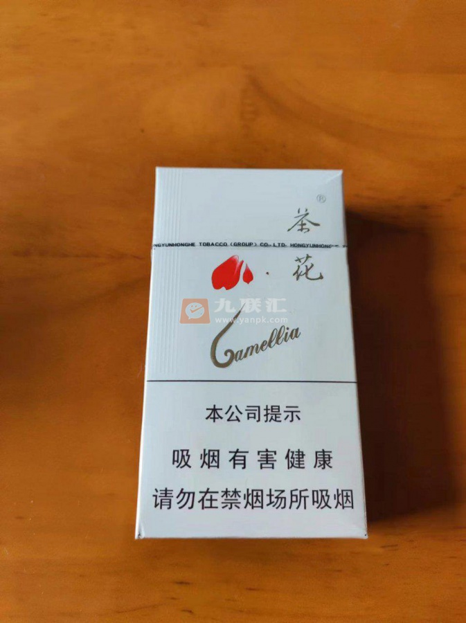 茶花(94mm)相册 48_34884