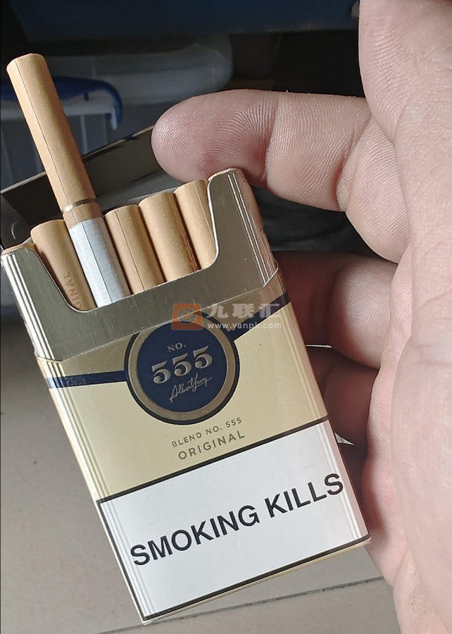 555(金锐亚太版)相册 105472_79046