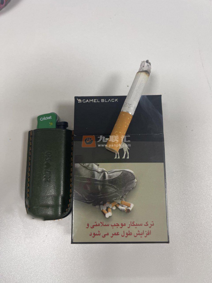 骆驼(硬黑伊朗含税版)相册 99076_13815