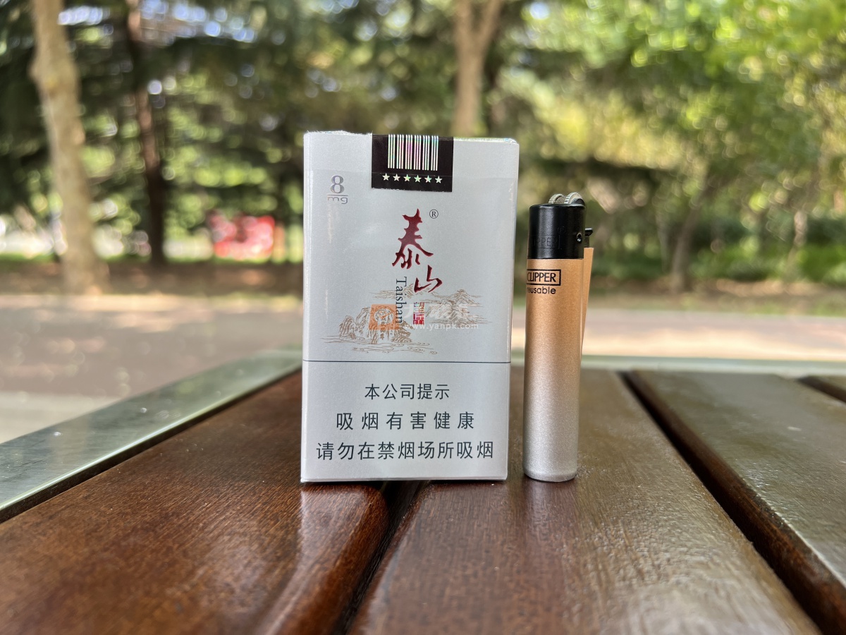 泰山(望岳)相册 1181_15902