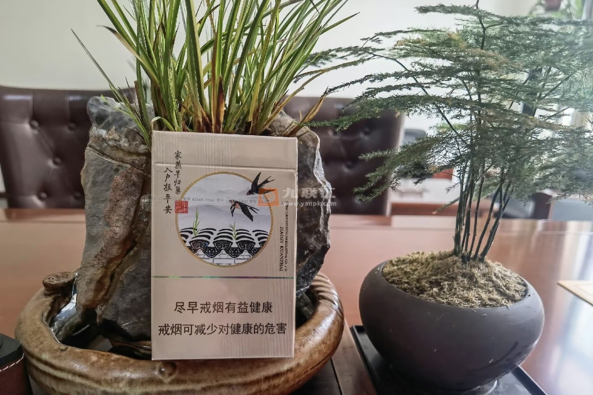 娇子(宽窄燕归来)相册 114366_49009