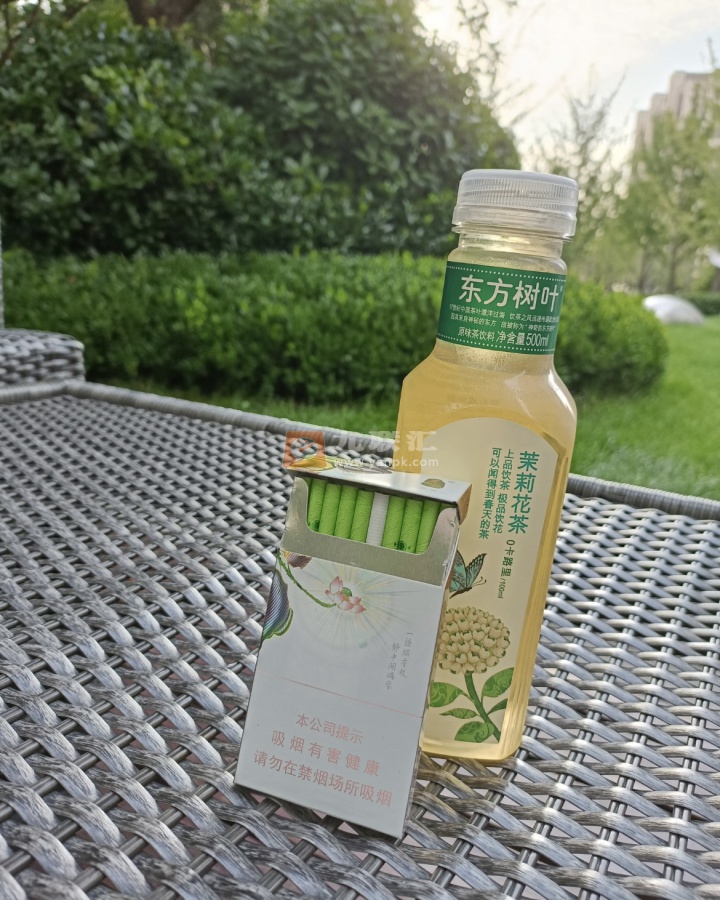 泰山(茶香)相册 93355_48971