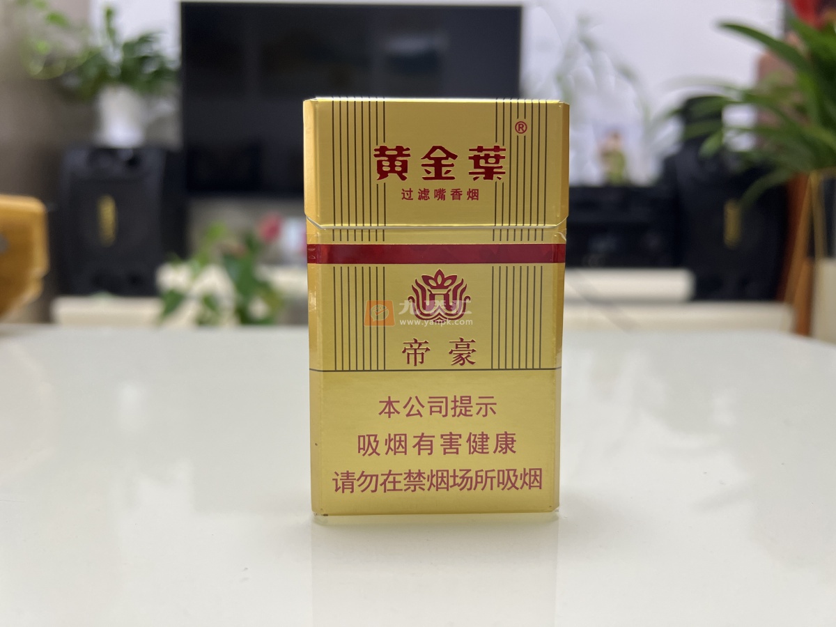 黄金叶(硬帝豪)相册 298_91389