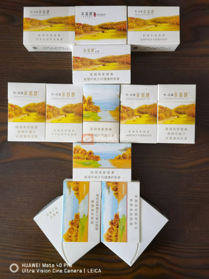 黄鹤楼(秋·品道硬长) 1382_44617