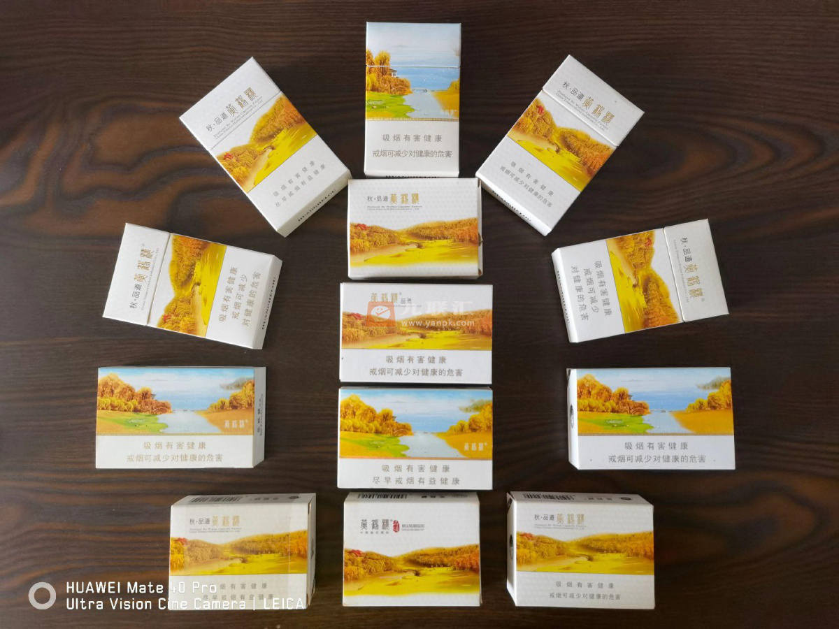 黄鹤楼(秋·品道硬长) 1382_76522