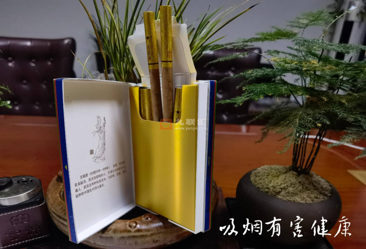 黄鹤楼(昭君故里)相册 94023_66211