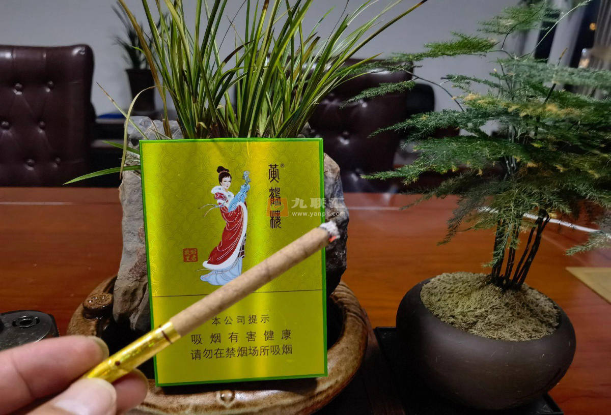 黄鹤楼(昭君故里)相册 94023_97962