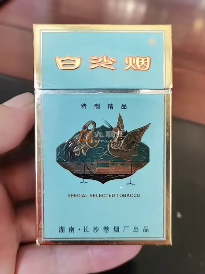 白沙(绿和)相册 5_15586