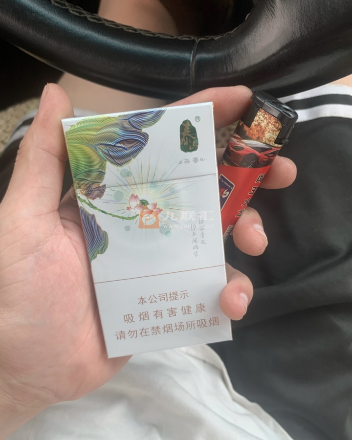 泰山(茉莉香韵)相册 93954_59375