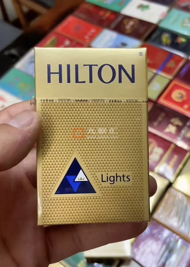 希尔顿(金特醇免税)相册 31696_55692