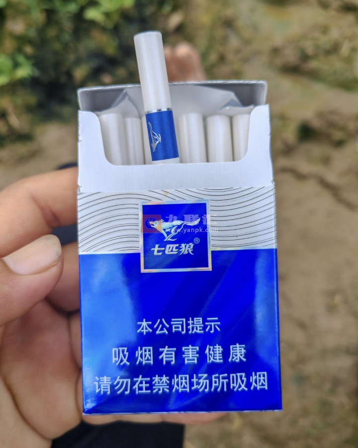 七匹狼(蓝钻)相册 93399_21535