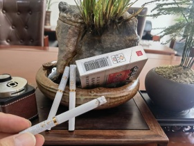 娇子(宽窄燕归来)