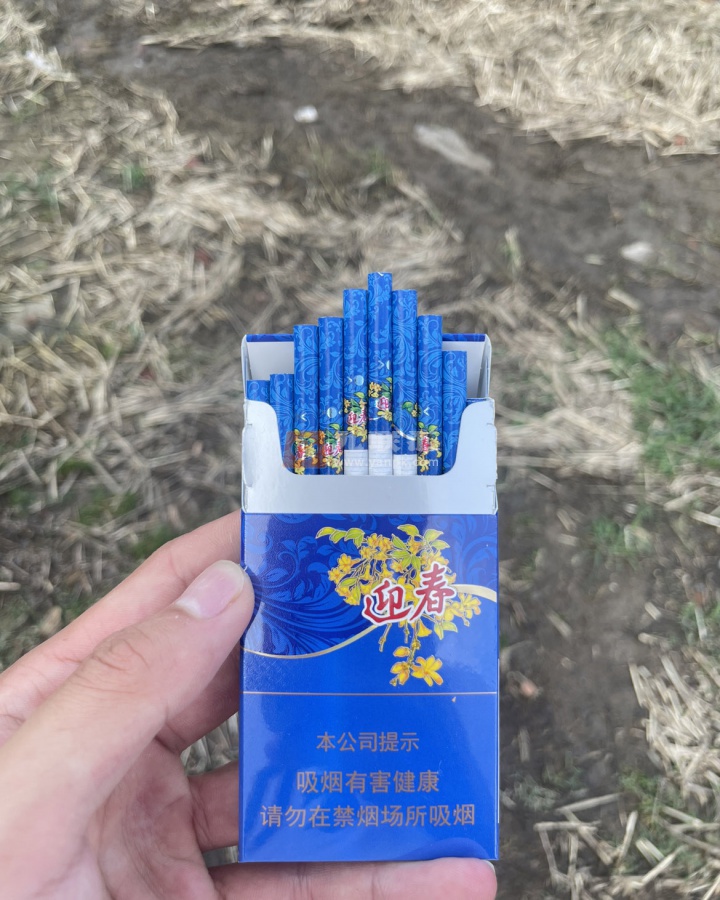 长白山蓝尚相册 92674_13235