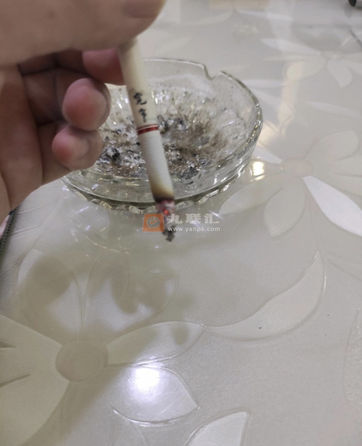 娇子(宽窄逍遥中支)