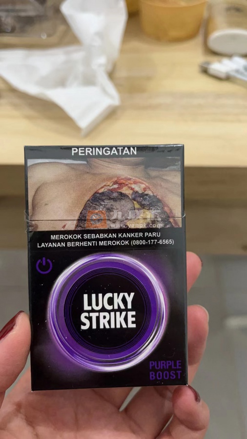 芙蓉王(印尼专供)相册 93357_88645