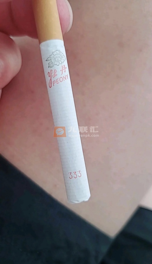 牡丹(软)相册 851_64805