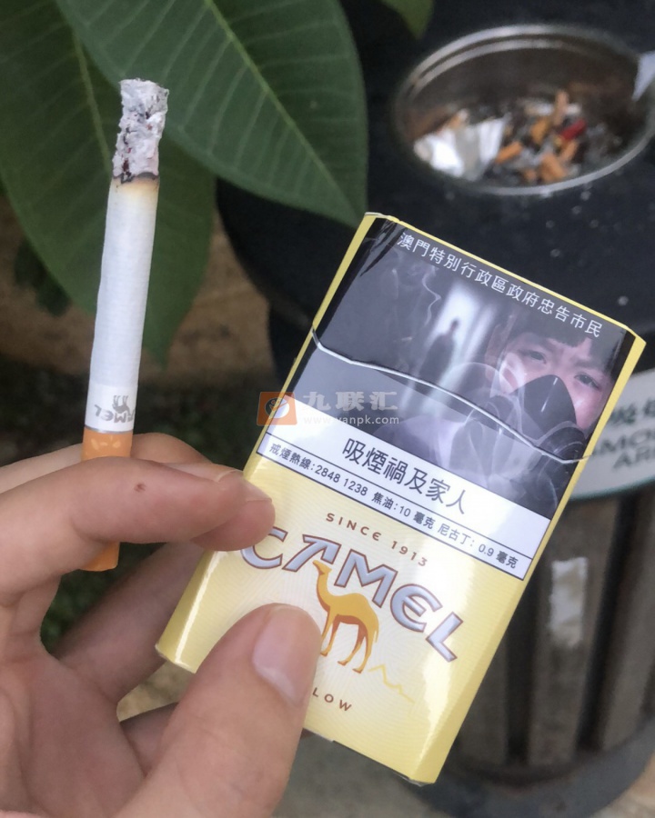 骆驼(硬黄澳门加税版)相册 106423_97986