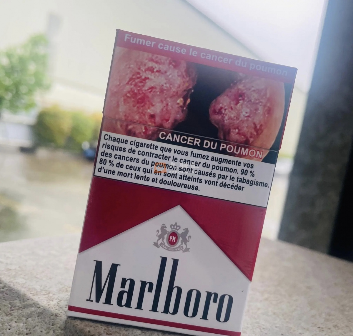 万宝路(硬红吉布提加税版)相册 95826_99154