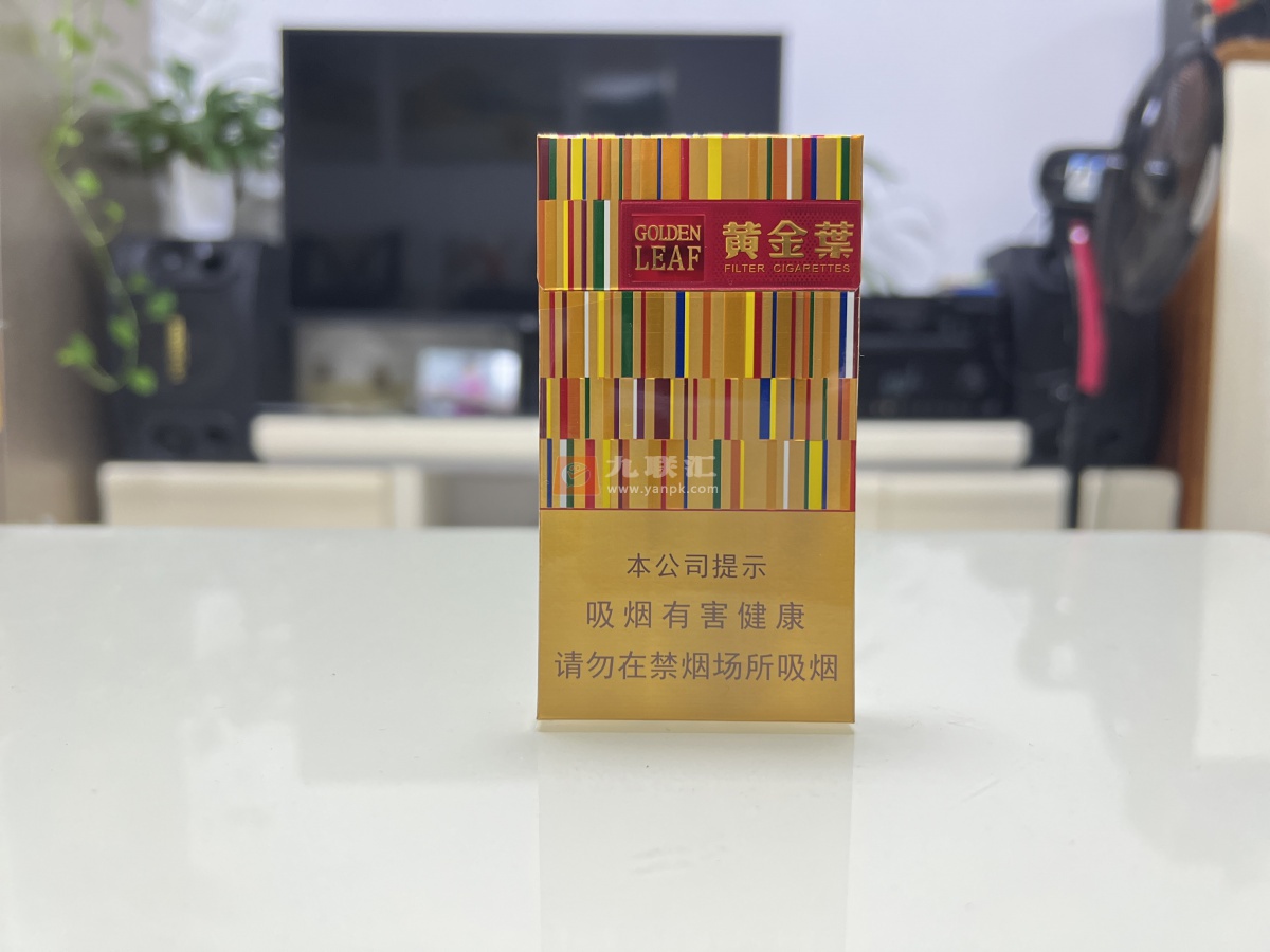 黄金叶(金炫尚)相册 103101_99057