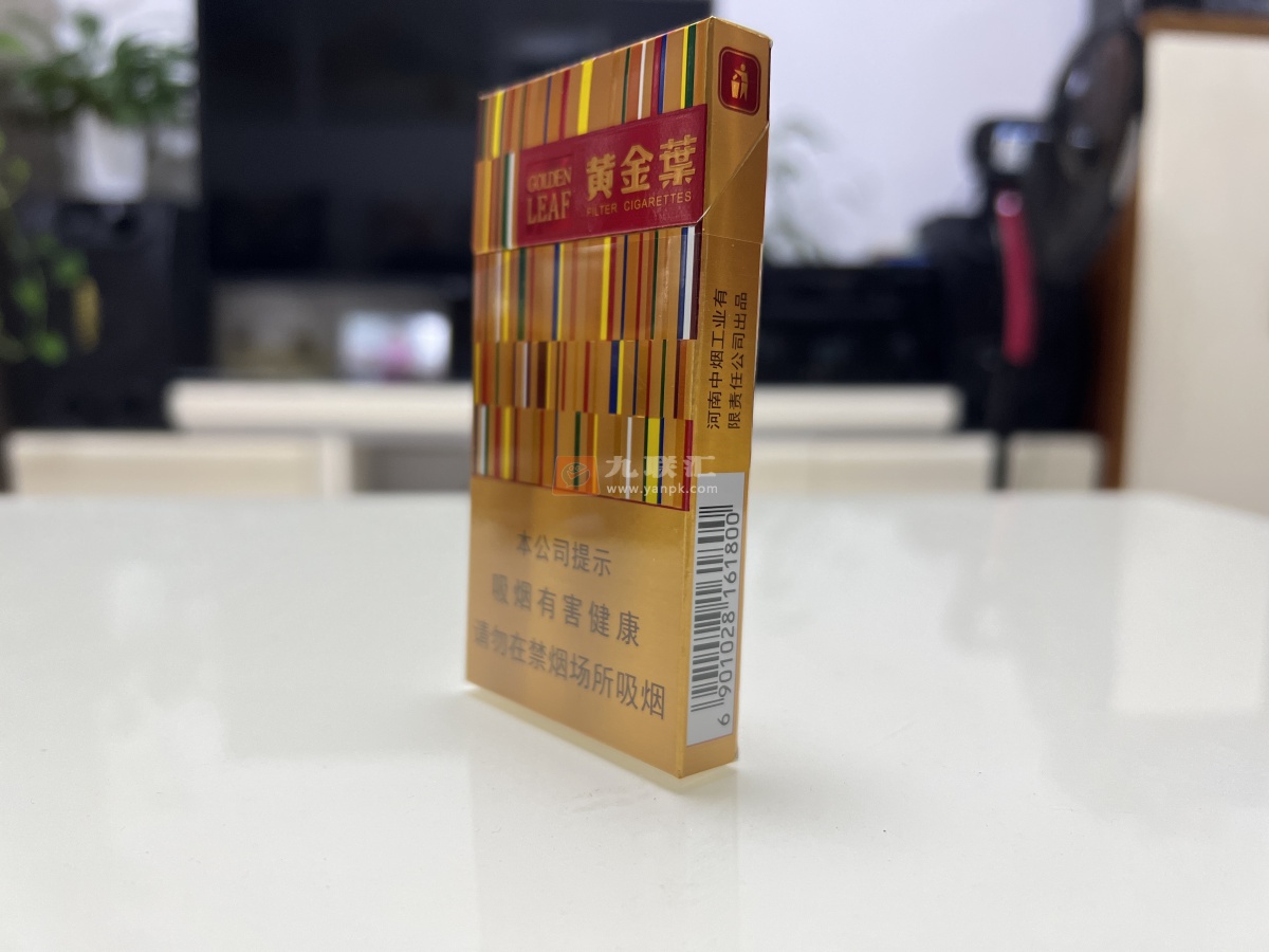 黄金叶(金炫尚)相册 103101_95893