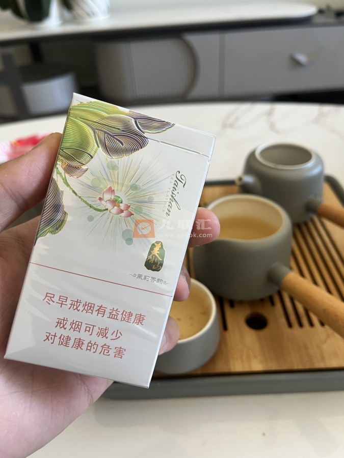 泰山(茉莉香韵)相册 93954_25534