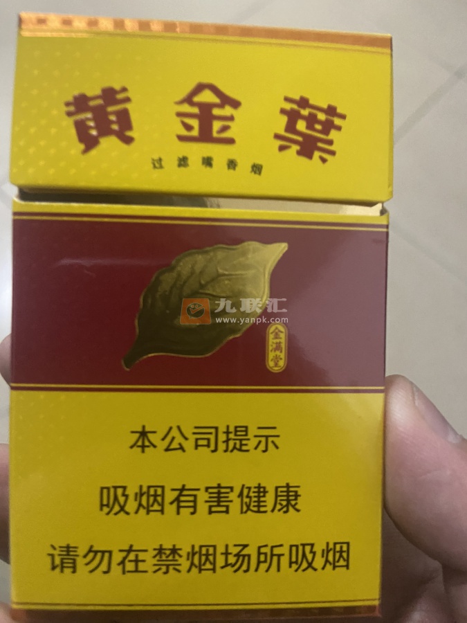 黄金叶(金满堂)相册 297_75986