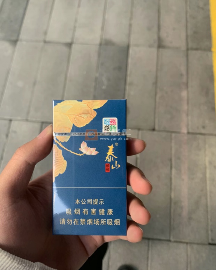 泰山(蓝颜悦)相册 93224_24507