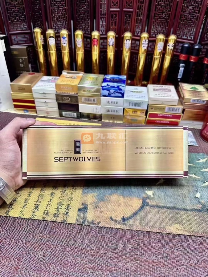 七匹狼(通仙)相册 1120_31365