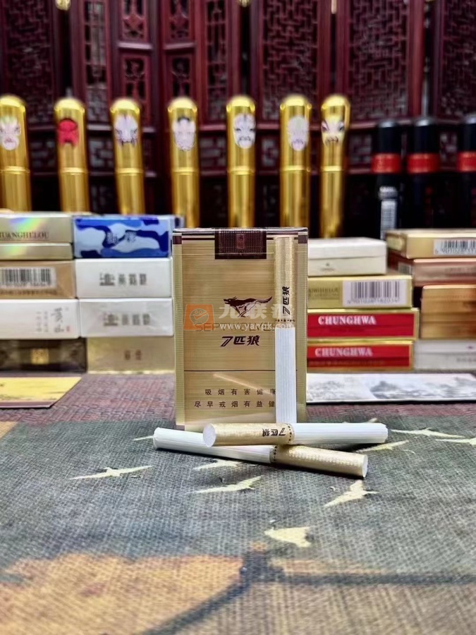 七匹狼(通仙)相册 1120_69425