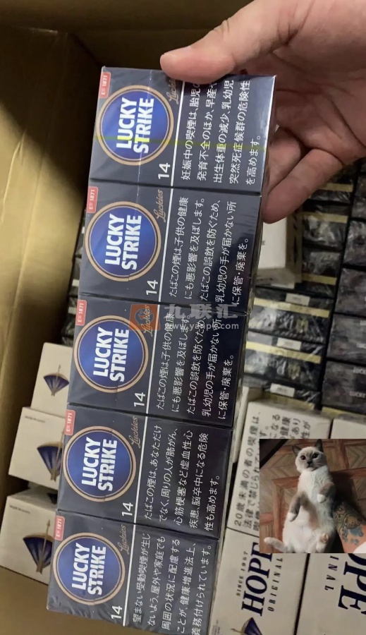 好彩(Expert cut 14mg日版)相册 94448_94048