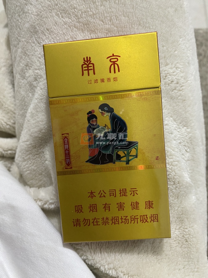 南京(金陵十二钗烤烟)相册 1107_11928