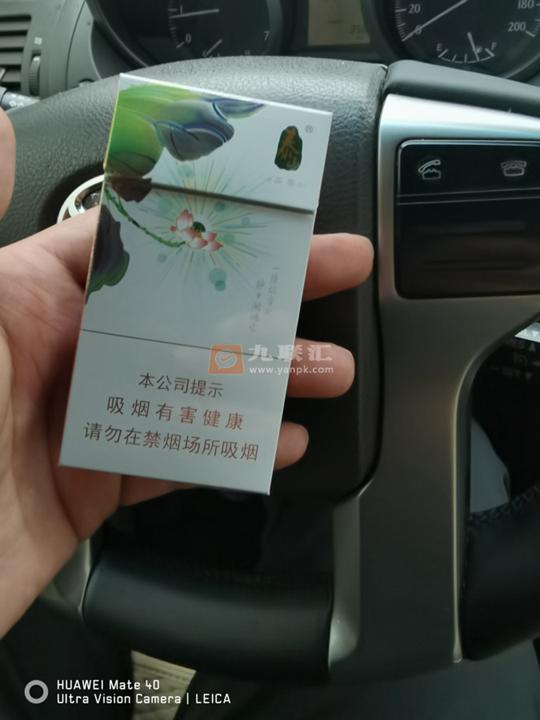 泰山(茉莉香韵)相册 93954_13576