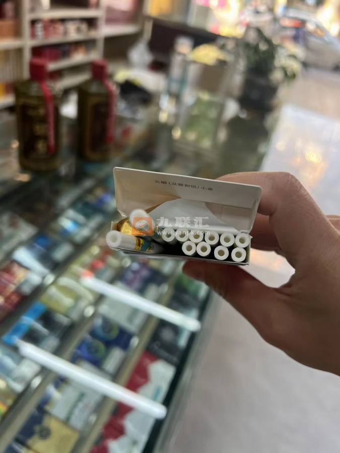 云烟苁蓉和悦相册 33117_57856